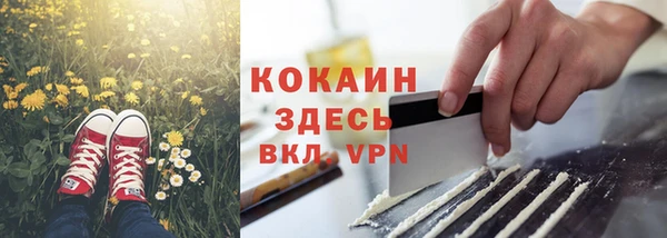 spice Кинешма
