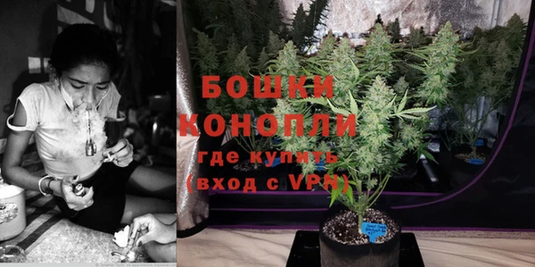 spice Кинешма