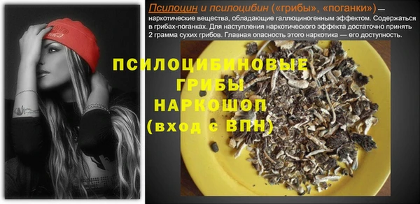 spice Кинешма