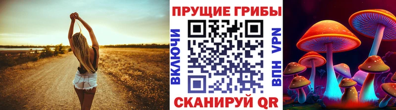 Купить  Карталы  Псилоцибиновые грибы мухоморы 